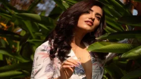 Celebrity Escorts